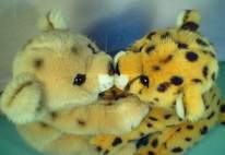 peluche